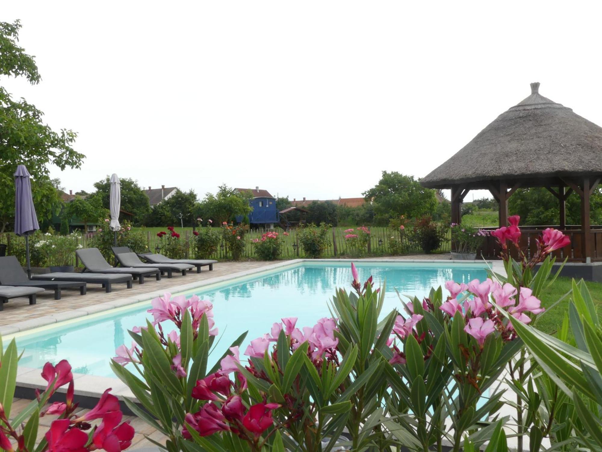 Bed and Breakfast Tisza White House Tiszaszolos Exterior foto