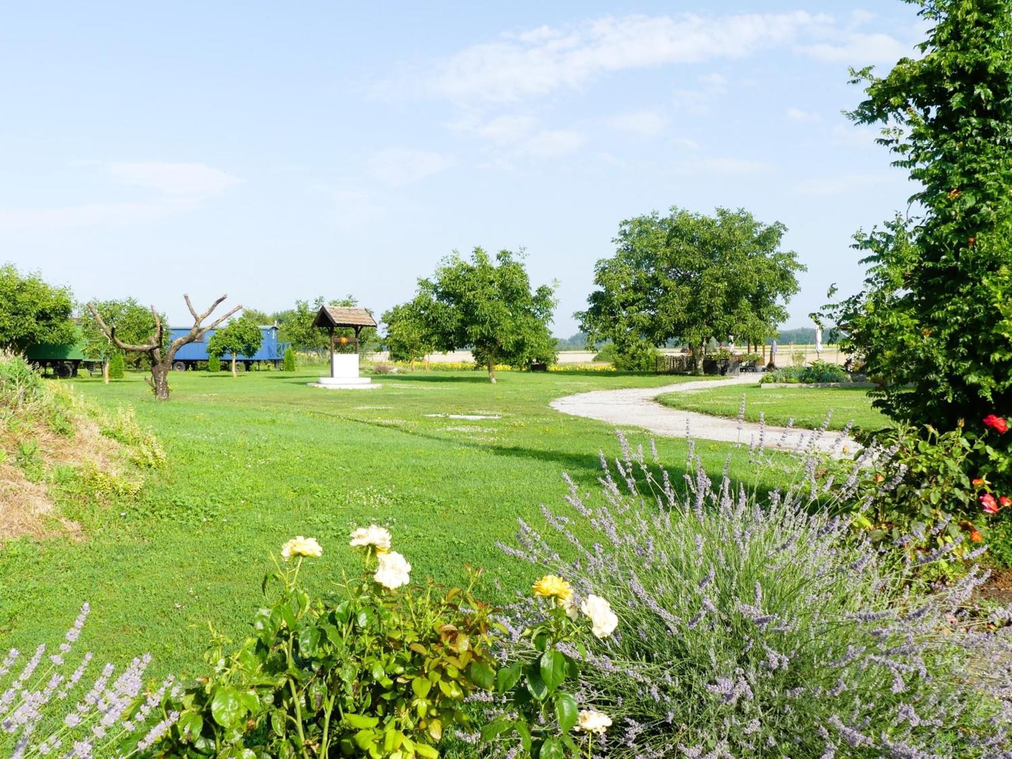 Bed and Breakfast Tisza White House Tiszaszolos Exterior foto